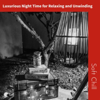 Luxurious Night Time for Relaxing and Unwinding