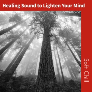 Healing Sound to Lighten Your Mind