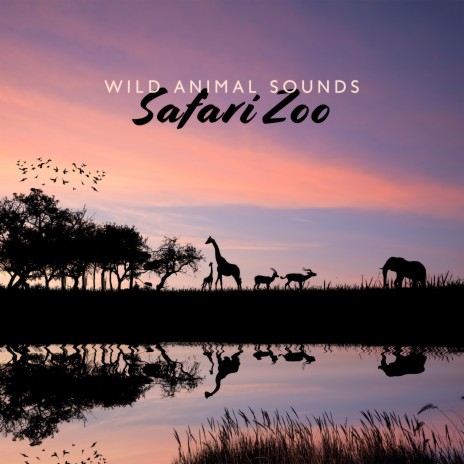 Safari Animals (Tribal Island) - African Music Drums Collection MP3 download  | Safari Animals (Tribal Island) - African Music Drums Collection Lyrics |  Boomplay Music
