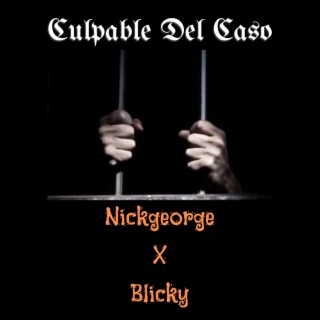 Nickgeorge (Culpable Del Caso)