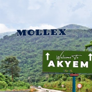 MOLLEX