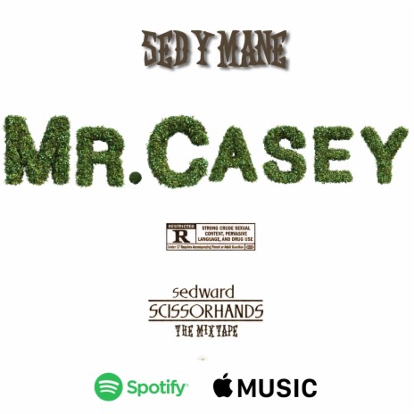 Mr. Casey | Boomplay Music