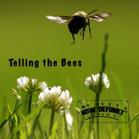 Telling the Bees | Boomplay Music