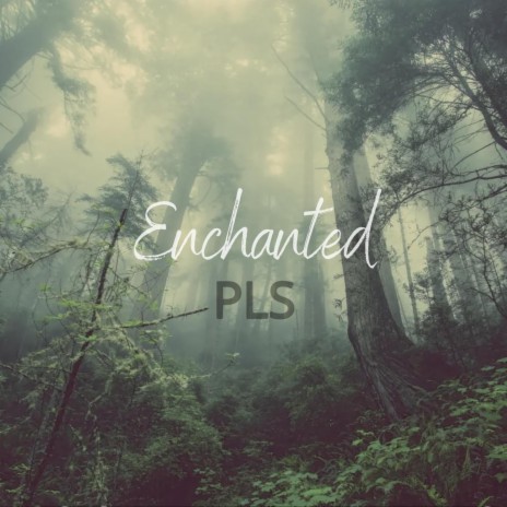 Enchanted | Boomplay Music