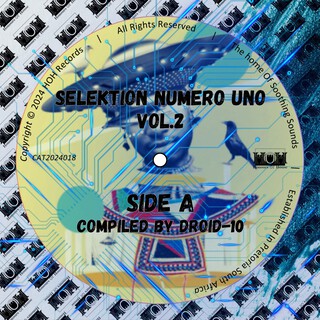 Selektion Numero Uno, Vol.2 (Side A Compiled By Droid-10)