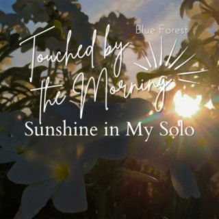 Touched by the Morning - Sunshine in My Solo