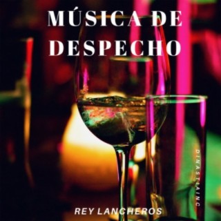 Musica de Despecho (Karaoke Version)