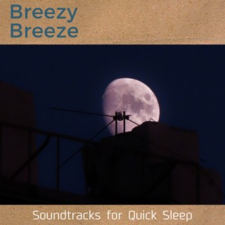 Soundtracks for Quick Sleep