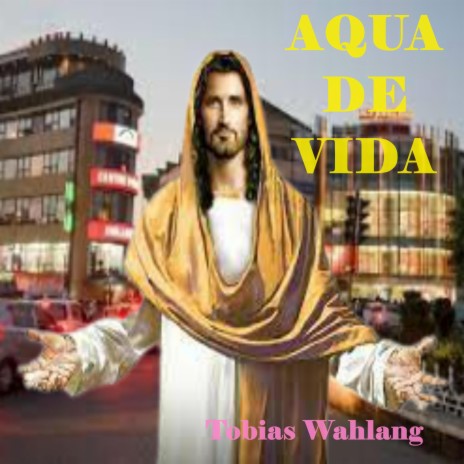 AQUA DE VIDA | Boomplay Music