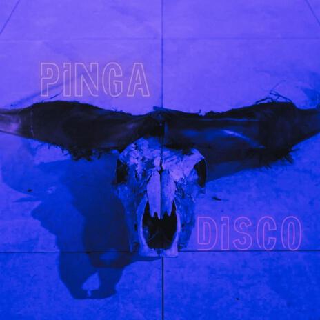 Pinga Disco | Boomplay Music