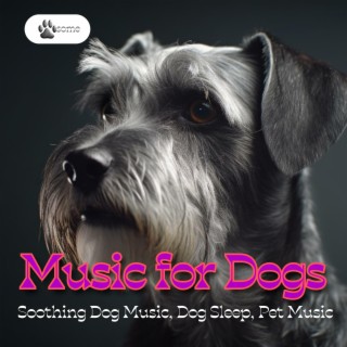 Music for Dogs: Soothing Dog Music, Dog Sleep, Pet Music