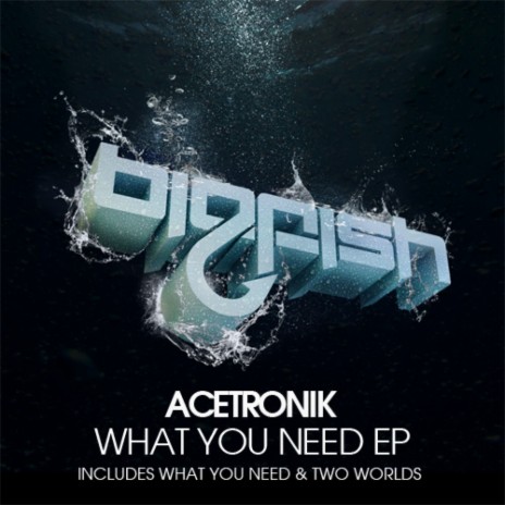 What You Need (Original Mix) | Boomplay Music