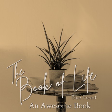 The Book on the Beat | Boomplay Music