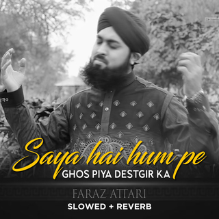 Saya Hai Hum Pe Ghos Piya Destgir Ka (Lofi-Mix)