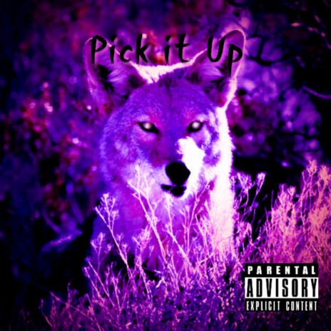 Pick It Up | Boomplay Music