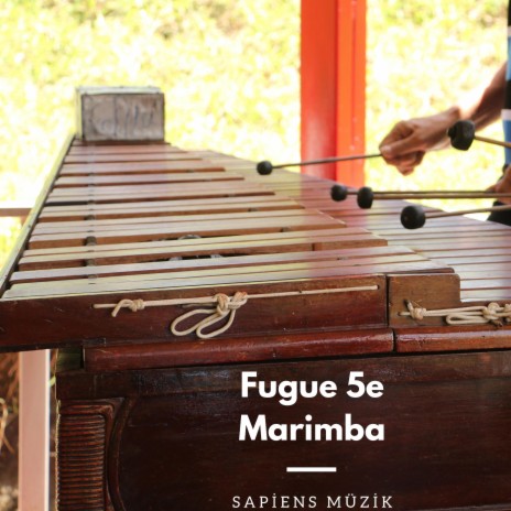 Fugue 5e Marimba | Boomplay Music