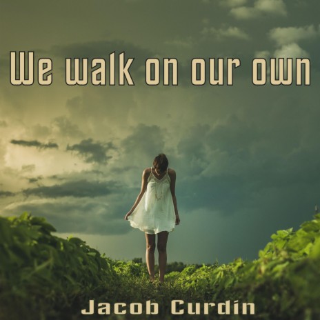 We walk on our own | Boomplay Music