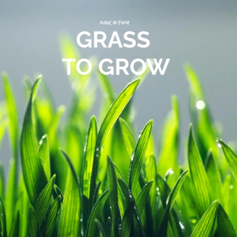 Grass To Grow | Boomplay Music