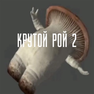 Крутой рой 2