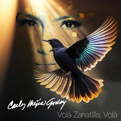 Vola Zanatilla Vola | Boomplay Music