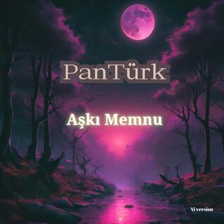 Aşkı Memnu