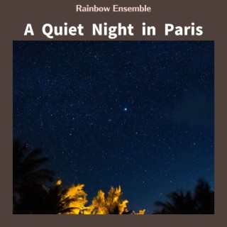 A Quiet Night in Paris