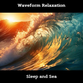 Waveform Relaxation: Sleep and Sea