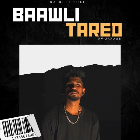 BAAWLI TARED | Boomplay Music