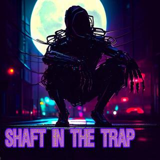 Shaft in the Trap