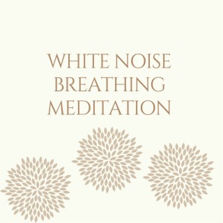 White Noise Breathing Meditation (Loopable Sequence)