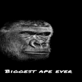 The biggest ape ever