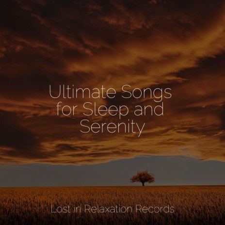 Colorful Lullabies ft. Musica Romantica & Relaxing Music | Boomplay Music