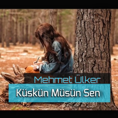 Küskün Müsün Sen | Boomplay Music