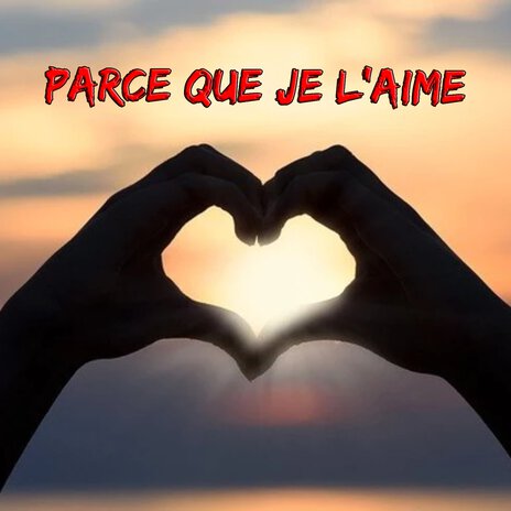 Parce que je l'aime | Boomplay Music