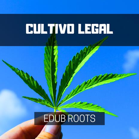 Cultivo Legal | Boomplay Music