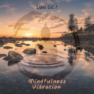 Vibes Vol. 1 Calm the Mind Instrumental Meditation Music