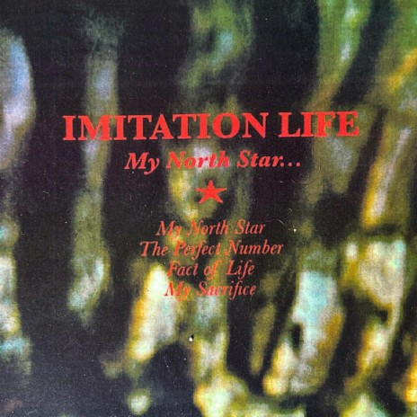 Imitation Life My Sacrifice Lyrics