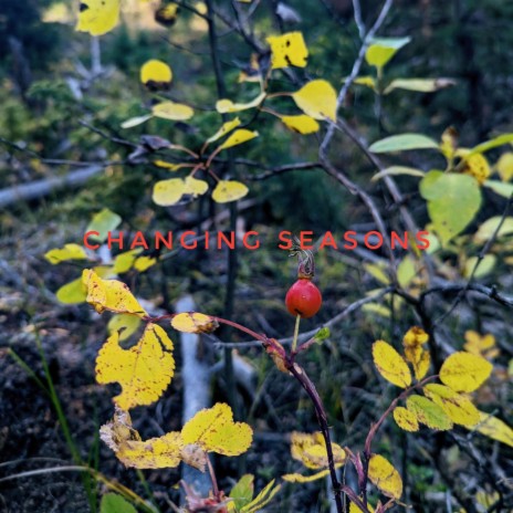 Changing Seasons | Boomplay Music