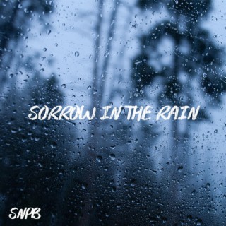 Sorrow In The Rain