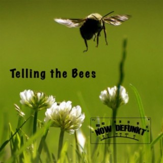 Telling the Bees