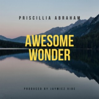 Awesome Wonder