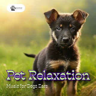 Pet Relaxation, Music for Dogs Ears