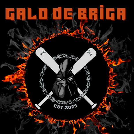 GALO DE BRIGA | Boomplay Music