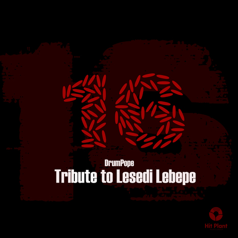 TRIBUTE TO LESEDI LEBEPE | Boomplay Music