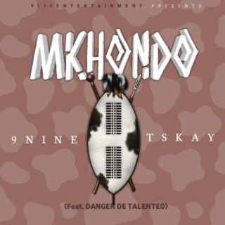 Mkhondo (Summer song)