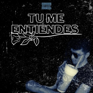 Tu Me Entiendes