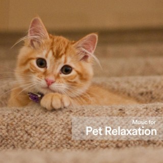 Music for Pet Relaxation
