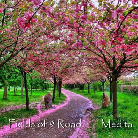 Fields Of 9 Road 1 | Boomplay Music