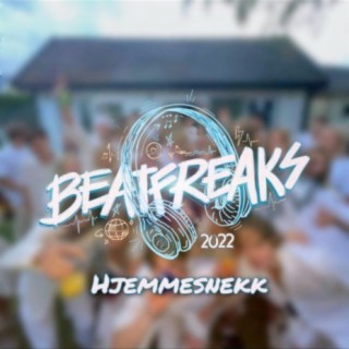 Beatfreaks 2022 (Hjemmesnekk)