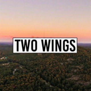 TWO WINGS